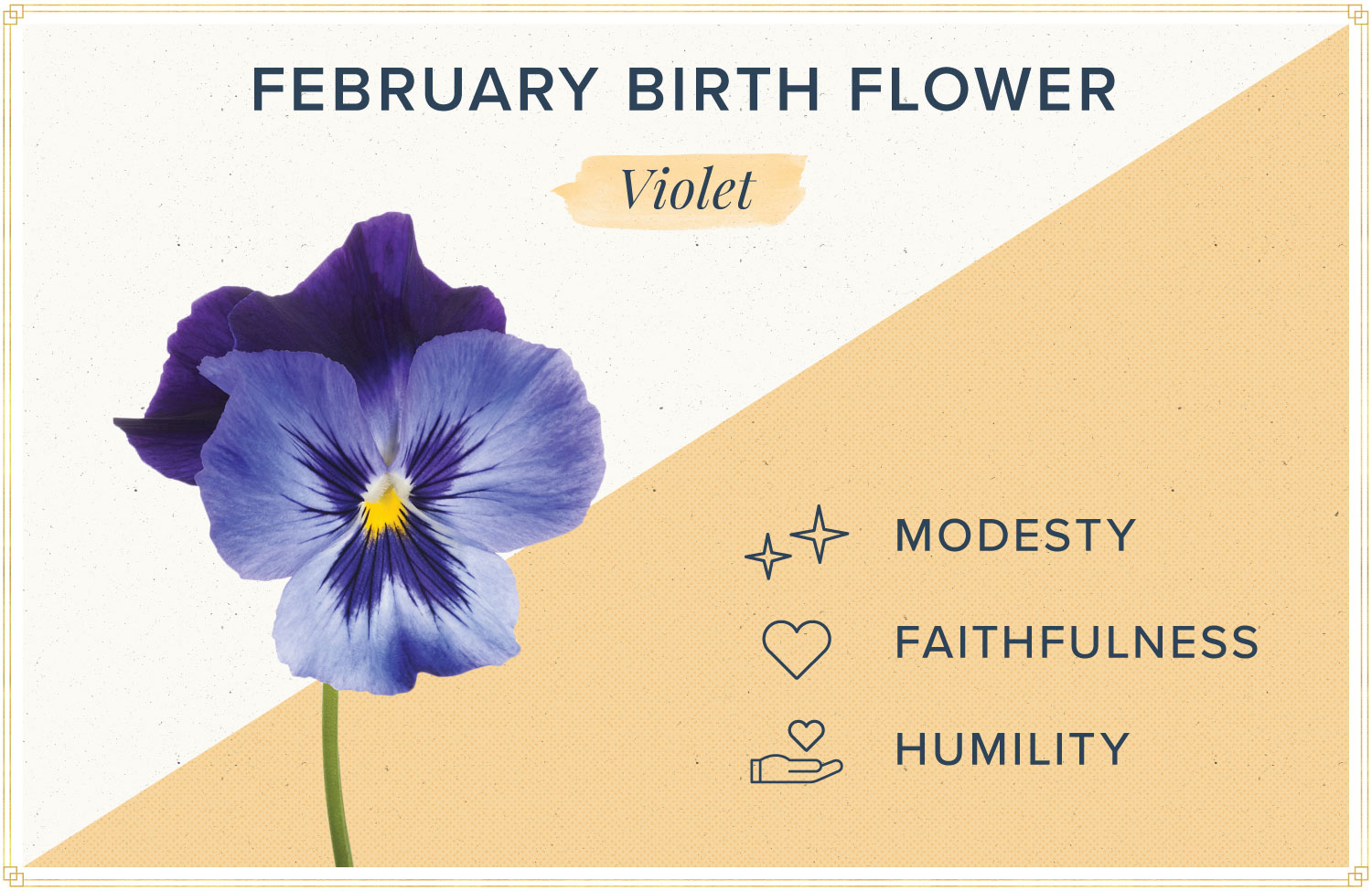 feb birth flower