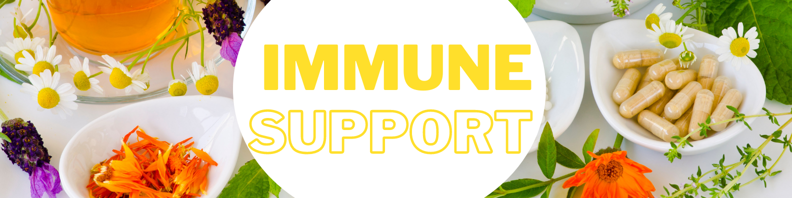 Get the best immune support at Shine Health Wellbeing Centre